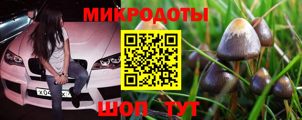 Галлюциногенные грибы прущие грибы Магнитогорск