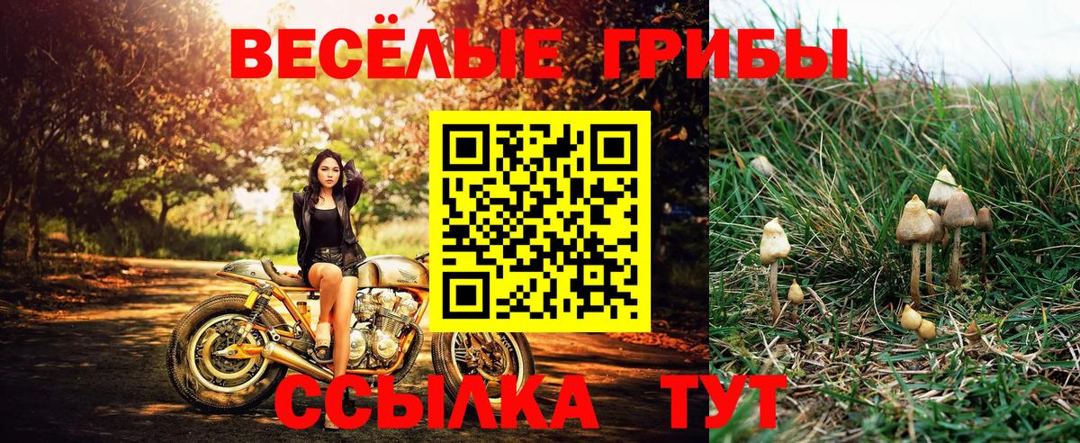 Магнитогорск  Галлюциногенные грибы Psilocybine cubensis  Вход с VPN 